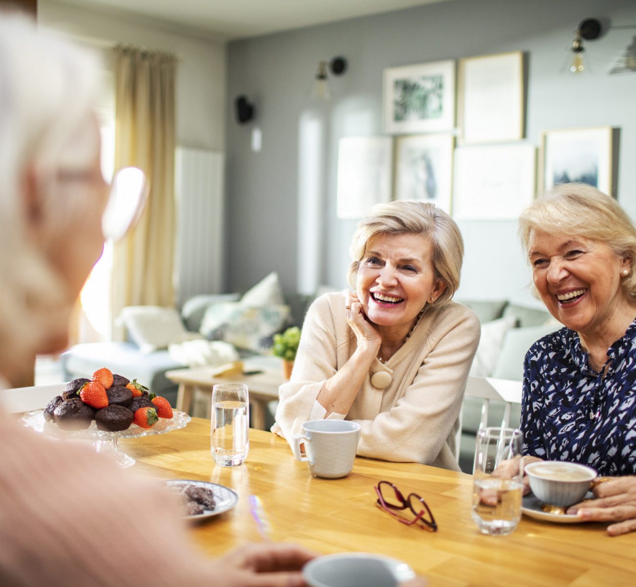 Close up of a small group of senior women enjoying a nice cup of coffee together in the living room